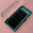 Вії Lex Black mix D / 0.07 / 8-12
