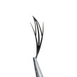 Ресницы Sculptor Prizmatic Wings Momoko mix CC / 0.05 / 8-14