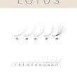 Вії Vilmy Lotus 3D black mix